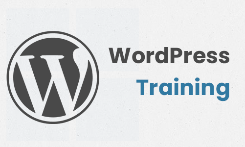 WordPress 6.4 + Projects